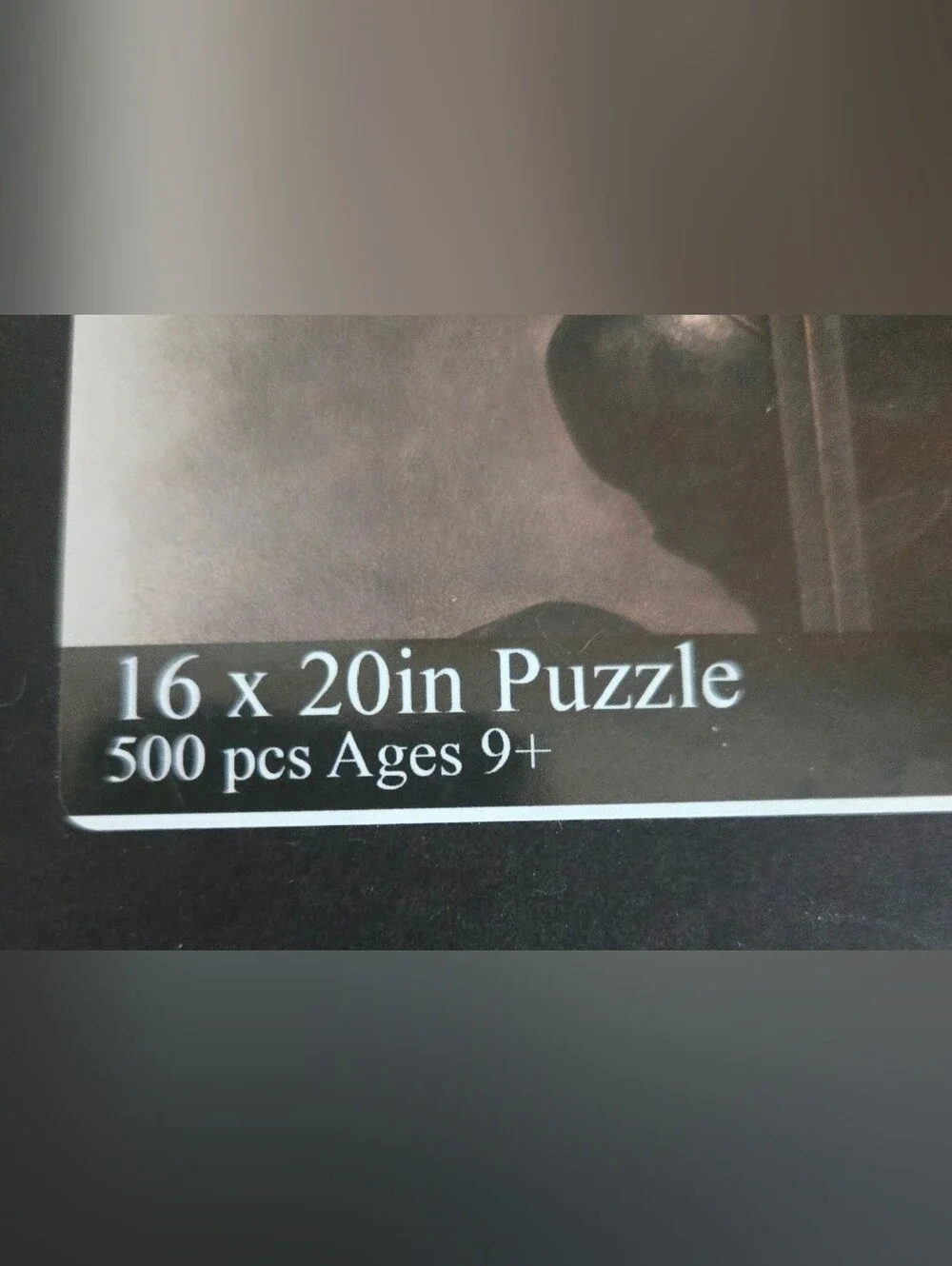Joan Of Arc Puzzle